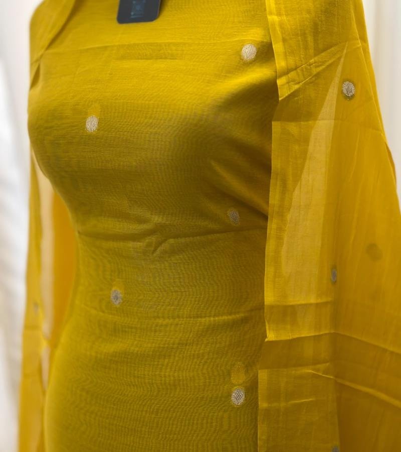 Mul Chanderi Elegance - Mixed Colors