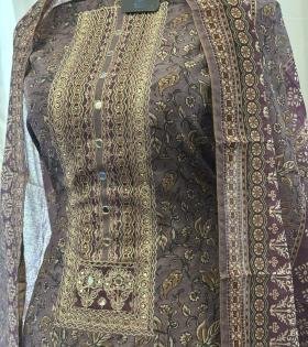 Gracefully Crafted in Chanderi - Mixed Colors